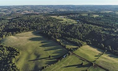 Agrícola en Venta en SECTOR LLICO - FRESIA