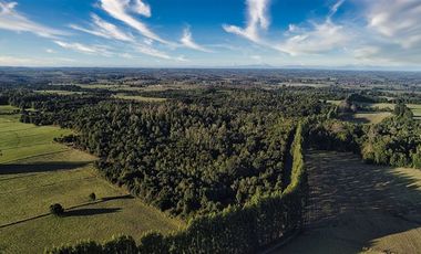 Agrícola en Venta en SECTOR LLICO - FRESIA