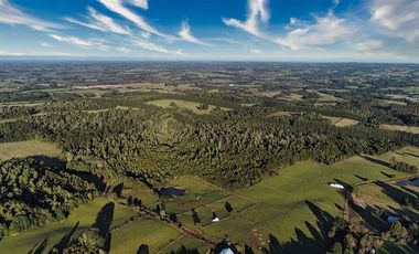 Agrícola en Venta en SECTOR LLICO - FRESIA