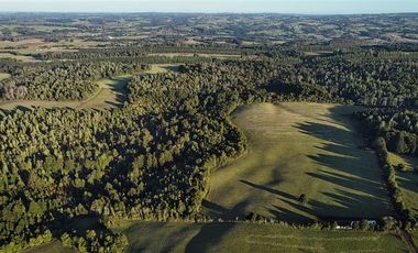 Agrícola en Venta en SECTOR LLICO - FRESIA