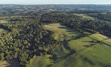 Agrícola en Venta en SECTOR LLICO - FRESIA