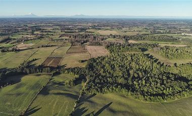 Agrícola en Venta en SECTOR LLICO - FRESIA