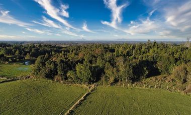 Agrícola en Venta en SECTOR LLICO - FRESIA