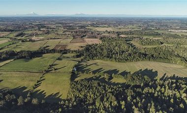 Agrícola en Venta en SECTOR LLICO - FRESIA