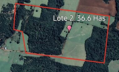 Agrícola en Venta en SECTOR LLICO - FRESIA