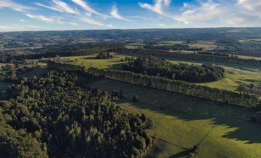 Agrícola en Venta en SECTOR LLICO - FRESIA