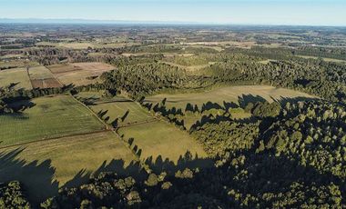 Agrícola en Venta en SECTOR LLICO - FRESIA