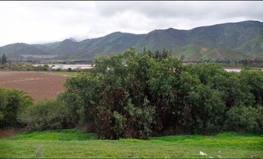 Casa en Arriendo en SECTOR CABALLO BLANCO KM 32 - Marquesa