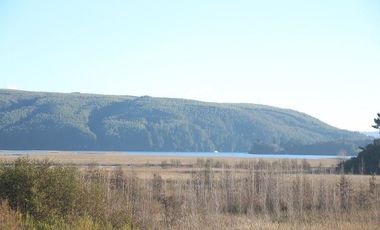 Local Comercial en Venta en Sector Las Mulatas