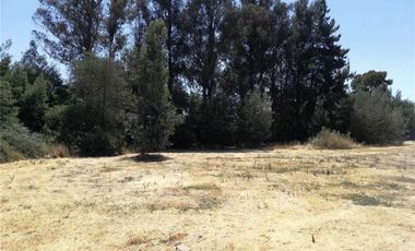 Sitio en Venta en Terreno / Panamericana Sur Km 215