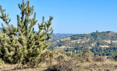 Sitio en Venta en Terrenos Matanzas, Camino las Águilas
