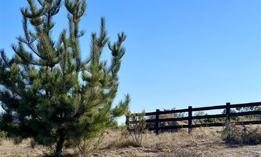 Sitio en Venta en Terrenos Matanzas, Camino las Águilas