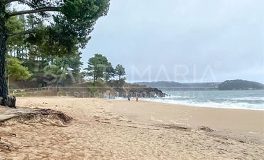 Sitio en Venta en Pingueral, Tomé