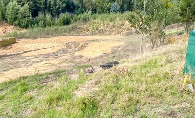 Terreno Construccion en Venta en Pingueral, Tomé