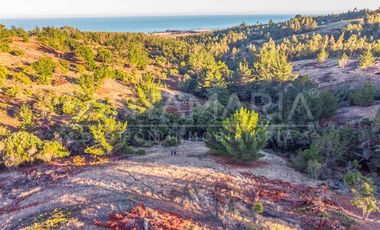 Parcela en Venta en N-102, Cobquecura