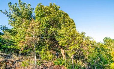 Parcela en Venta en N-102, Cobquecura