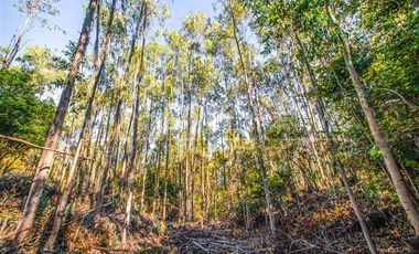 Parcela en Venta en N-102, Cobquecura