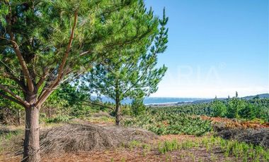 Parcela en Venta en N-102, Cobquecura