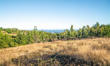 Parcela en Venta en N-102, Cobquecura