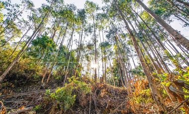 Parcela en Venta en N-102, Cobquecura