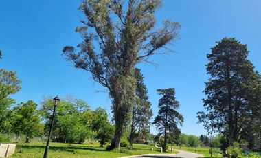 VENDE, LOTE A LA LAGUNA,S AN JUAN CHICO al 100