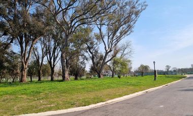 VENDE, LOTE A LA LAGUNA,S AN JUAN CHICO al 100