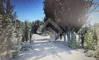 Sitio en Venta en BOSQUE NOVICIADO/EL NOVICIADO