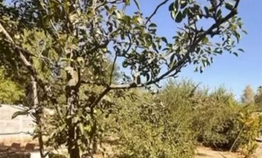 Parcela en Arriendo en Parcela en Lampa, El Molino