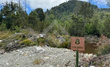 Parcela en Venta en Piedra Azul, Parcelacion Nativo Sur