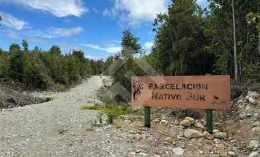 Parcela en Venta en Piedra Azul, Parcelacion Nativo Sur