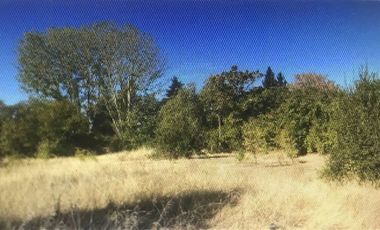 Terreno Construccion  en Venta en Chillán