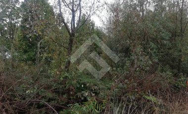 Parcela en Venta en Club de campo residencial Puerto Varas