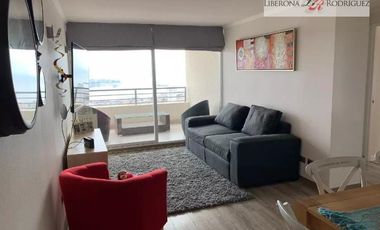 Departamento en Arriendo en Departamento Cerro Las Delicias