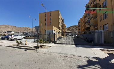 Departamento en Arriendo en Departamento disponible en Condominio El Crisol, El Palomar