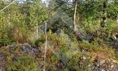 Parcela en Venta en Valle los Nevados,Lago Chapo