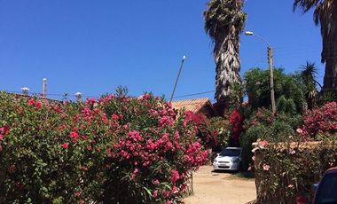 Parcela en Venta en Parque Puquén, Los Molles