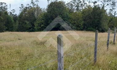 Sitio en Venta en antes de salmofood, camino W-450, a 4,4 km de carretera.