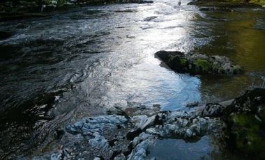 Sitio en Venta en antes de salmofood, camino W-450, a 4,4 km de carretera.