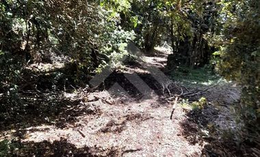 Sitio en Venta en antes de salmofood, camino W-450, a 4,4 km de carretera.