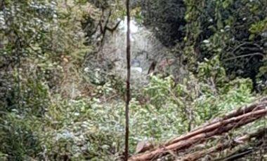 Sitio en Venta en antes de salmofood, camino W-450, a 4,4 km de carretera.