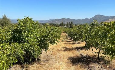 Casa en Venta en palquibudi 12