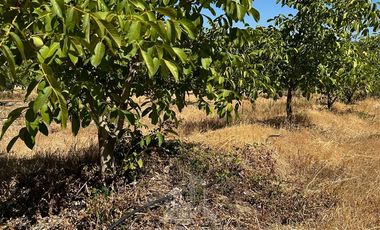 Casa en Venta en palquibudi 12