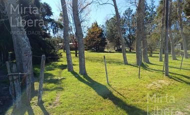 Quinta en Villa Parque Sicardi