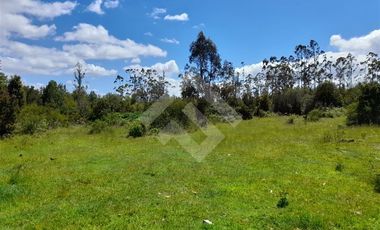 Parcela en Venta en antes de salmofood, camino W-450, a 4,4 km de carretera.