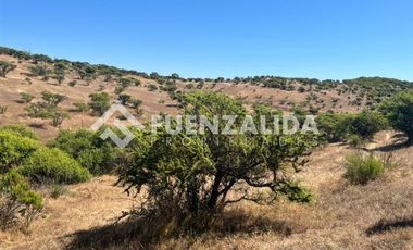 Agrícola en Venta en Loica Bajo