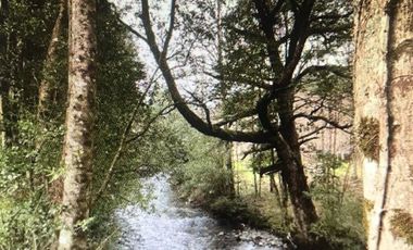 Agrícola en Venta en Lago Colico