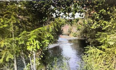 Agrícola en Venta en Lago Colico