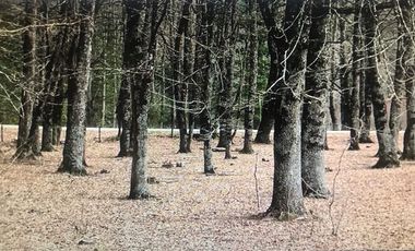 Agrícola en Venta en Lago Colico