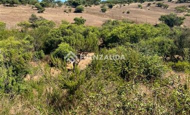 Parcela en Venta en Loica Bajo