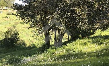 Parcela en Venta en RUTA-G 94